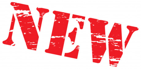 Создан новый раздел сайта – «Наши проекты»