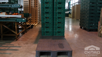 «Любить свое дело – значит быть лучшим». Поездка на Уманский Тепличный Комбинат
                      