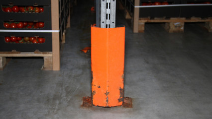 «Любить свое дело – значит быть лучшим». Поездка на Уманский Тепличный Комбинат
                          фото
                      