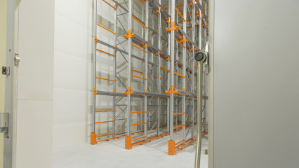 Въездные стеллажи на производстве соков. Холодильные камеры
                          купить
                      