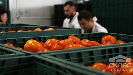 «Любить свое дело – значит быть лучшим». Поездка на Уманский Тепличный Комбинат
                      