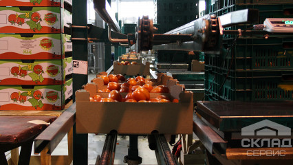 «Любить свое дело – значит быть лучшим». Поездка на Уманский Тепличный Комбинат
                      