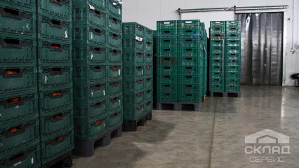 «Любить свое дело – значит быть лучшим». Поездка на Уманский Тепличный Комбинат
                      