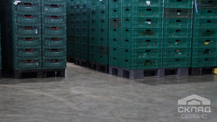 «Любить свое дело – значит быть лучшим». Поездка на Уманский Тепличный Комбинат
                      